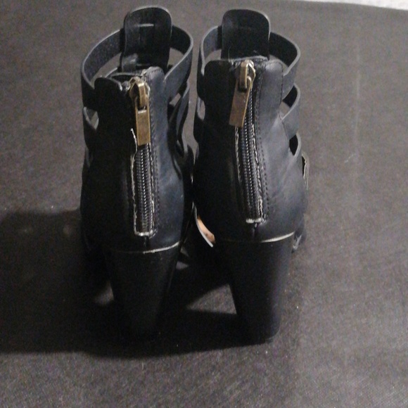 Bamboo - Picture 3 of 7